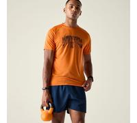 Orange male XL Dare 2b Men's Tech II T-Shirt Orange, Size: XL