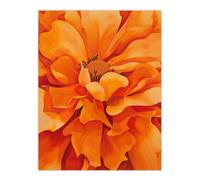Orange Marigold Flower Painting Modernist Floral Wall Art Print Artery8 Orange W24 inch x H32 inch