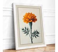 Orange Marigold Study Botanical Framed Wall Art Print A3 (42×29.7cm) White, Wall Decor for Living Room, Bedroom, Office & Home, Ready to Hang, Art Gift