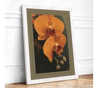 Orange Orchid Study Botanical Framed Wall Art Print A1 (84.1×59.4cm) White, Wall Decor for Living Room, Bedroom, Office & Home, Ready to Hang, Art Gift