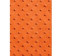 Orange Ostrich Leather Print Notebook: for Notes, Journaling, and Writing