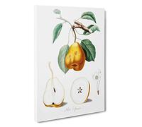 Orange Pear Tree by Giorgio Gallesio Canvas Print | Gallery Wrapped 30mm Frame Wall Art | 30x20 inches | Ready to Hang | Modern Landscape Picture | Living Room Bedroom Lounge Office