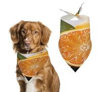 Orange Pet Scarf Adjustable Pet Accessories Triangular Scarf Washable Floral Print Puppy Bib Bandana Stylish Comfortable Cat Scarves for Holiday Scarfs
