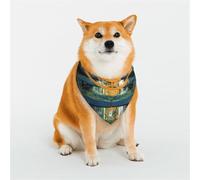 Orange Planet, Compass Pet Scarf Stylish Triangle Bid Scarf Bandana Pet Accessory,Washable Pet Kerchief for Girl Boy Dogs or Cats Small