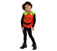 Orange Pumpkin Fancy Dress Costume Unisex Toddler Age 3-4