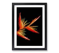 Orange & Red Bird of Paradise in Abstract Framed Print | A2 Black Framed Wall Art | Ready to Hang | Abstract Fantasy Picture | Living Room Bedroom Lounge Office