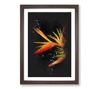 Orange & Red Bird of Paradise Paint Splash Framed Print | A2 Walnut Framed Wall Art | Ready to Hang | Modern Nature Picture | Living Room Bedroom Lounge Office