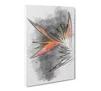 Orange & Red Bird Of Paradise Sketch Canvas Print | Gallery Wrapped 30mm Frame Wall Art | 30x20 inches | Ready to Hang | Modern Animals Picture | Living Room Bedroom Lounge Office