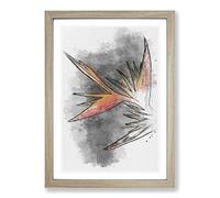 Orange & Red Bird of Paradise Sketch Framed Print | A2 Oak Framed Wall Art | Ready to Hang | Modern Nature Picture | Living Room Bedroom Lounge Office