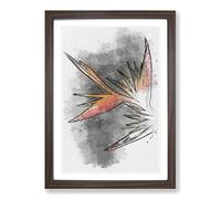 Orange & Red Bird of Paradise Sketch Framed Print | A2 Walnut Framed Wall Art | Ready to Hang | Modern Nature Picture | Living Room Bedroom Lounge Office