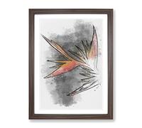 Orange & Red Bird Of Paradise Sketch Modern Framed Print | A2 Walnut Framed Wall Art | Ready to Hang | Modern Nature Picture | Living Room Bedroom Lounge Office