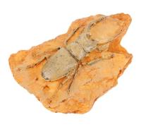 Orange Resin Paleontological Insect Specimen Ornament for Teaching Display | Educational Decor for Students and Collectors, Museum Style Tabletop Piece, Multipurpose Science Accent