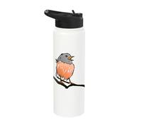 Orange Robin Bird Bird Lover Ornithologist Bird Watching Stainless Steel Insulated Water Bottle
