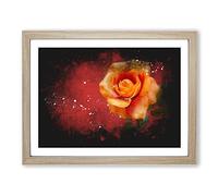 Orange Rose In Bloom Paint Splash Modern Art Framed Print | A2 Oak Framed Wall Art | Ready to Hang | Modern Floral Picture | Living Room Bedroom Lounge Office