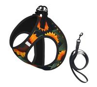 Orange Sunflower print Dog Harness and Leash Set, Reflective Adjustable Puppy Vest for Small Medium Large Dogs, Cats