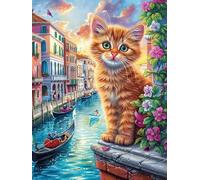 Orange Tabby Cat in A Venice Canal 1000 Pc DIY Jigsaw Puzzle Animal Plant Puzzles for Adults Teens Hard Challenging Team Building Stress Reducing Autumn Sturdy Wooden Cardboard 1000 PCS
