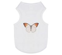 'Orange Tip Butterfly' Pet Dog/Cat T-Shirt (PT00072620)
