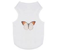 'Orange Tip Butterfly' Pet Dog/Cat T-Shirt (PT00072622)