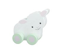 Orange Tree Toys OTT07627 Wooden Push Toy, Multicolour