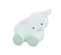 Orange Tree Toys OTT07627 Wooden Push Toy, Multicolour