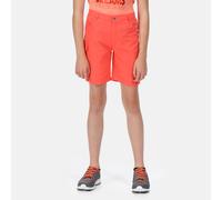 Orange unisex 14 Years Regatta Kids’ Sorcer II Cargo Walking Shorts Orange, Size: 14 Years