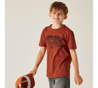 Dare 2b Kids’ Trailblazer III T-Shirt, Cotton, Cotton Orange, Size: 9-10 Years