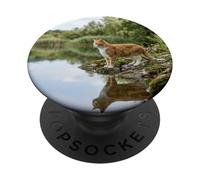Orange White Cat Standing Lakeside Reflection Scene PopSockets Adhesive PopGrip