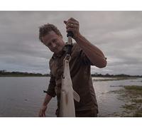 Orange You Glad I Didn't Say Banana?