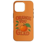 Orange You Glad It’s a Sweet Retro Sunshine Kind of Day Case for iPhone 16 Pro