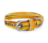 Oranges and Lemons Dog Collar Classic Adjustable Pet Collar Soft and Fancy,Dog Collars Easy Clean and Comfortable for Small Medium Dogs Pet Supplies Accessories