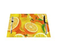 Oranges and Lemons Printed Placemats Non-Slip Heat Resistant Place Mats Washable PVC Table Mats Woven Placemats for Everyday Use Or Holidays Dinner Bbqs 18"X12"