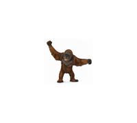 Orangutan