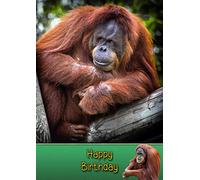 Orangutan Birthday Card