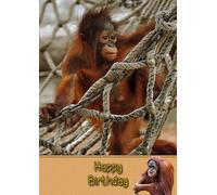 Orangutan Birthday Card