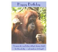 Orangutan Birthday Card