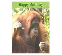 Orangutan Birthday Card