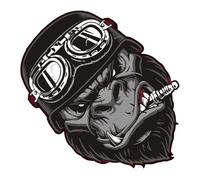 Orangutan Bumper Sticker,Orangutan Monkey Wall Car Sticker - Car Trunk Decor Orangutan Decor Car Bumper Sticker Decal for Wall and Window