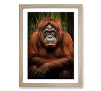 Orangutan Gestural No.2 Framed Print | A2 Oak Framed Wall Art | Ready to Hang | Eclectic Animal Picture | Living Room Bedroom Lounge Office