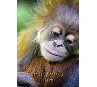 Orangutan 'Mum' Birthday Card