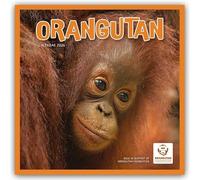 Orangutan - Orang-Utan 2026 - Wand-Kalender: Original Carousel-Kalender [Mehrsprachig] [Kalender]