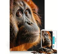 Orangutan Portrait 1000 Pieces Jigsaw Puzzles for Adults Brain Challenge Toy Indoor Play Precise Cut Fine Art Piece (38x26cm)