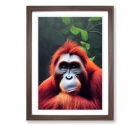 Orangutan Stare Framed Wall Art Print, Ready to Hang Picture for Living Room Bedroom Home Office, Walnut A2 (48 x 66 cm)