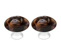 Orangutan Taking Photo Cabinet Knobs, 2-Pack Silver Stainless Steel Drawer Pulls with Screws, Elegant Hardware for Dressers, Kitchen,Cabinets & Desks