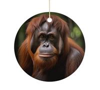 Orangutan Taking Photo Ceramic Christmas Ornaments 2.9 Inch - Double Sided Round Holiday Tree Hanging Decor for Home, Party, Hotel Decorations, Gift for Teacher, Neighbor, Friend