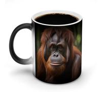 Orangutan Taking Photo Color Changing Mug Heat Changing Coffee Mugs Funny Heat Activated Mug Ceramic Magic Cup Novelty Coffee Mugs 12 Oz Unique Tea Cup Birthday Gift for Women Men