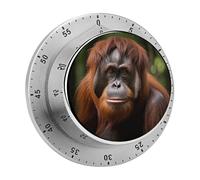 Orangutan Taking Photo Kitchen Timer - Mechanical Visual Timer, Stainless Steel Digital Timers with Magnetic Base Egg Timers for Hard Boiled Eggs 60-Minute Countdown Kitchen Clock for Cooking