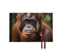 Orangutan Taking Photo Placemats Set of 4-17.7x11.8 Inch Washable Non-Slip Table Mats, Durable Wipeable Kitchen & Dining Mats for Party Decor, Home Table Setting, Oil/Scratch Protection