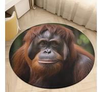 Orangutan Taking Photo Round Area Rug - Non-Slip Circle Doormat for Entryway, Washable Low-Profile Throw Rugs for Living Room, Bedroom, Office, Kitchen, Stain Resistant Floor Mat 60 * 60cm