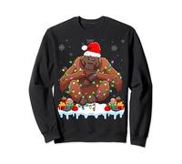 Orangutan Wearing Xmas Lights Santa Hat Orangutan Christmas Sweatshirt