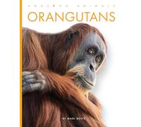 Orangutans (Amazing Animals)
